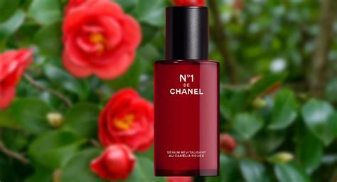 is chanel eco friendly|is chanel ethical.